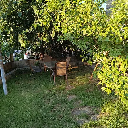 Ksanthioti * Prínos